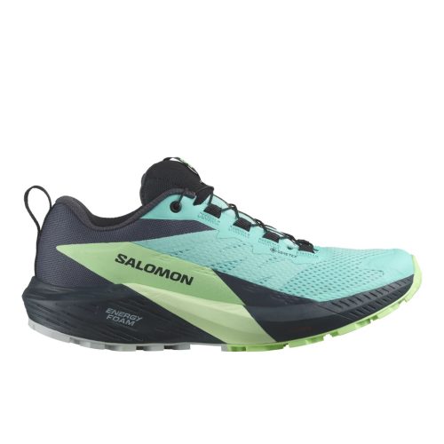 Salomon Sense Ride 5 GTX női futócipő 40.6